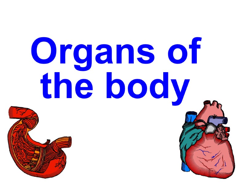 Organs of the body